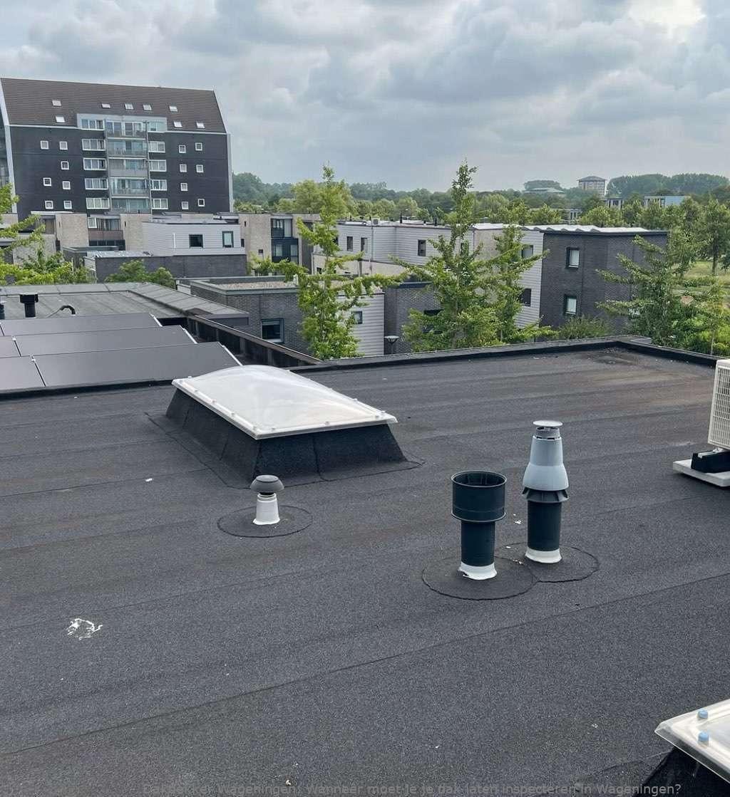 Dak Laten Inspecteren Wageningen