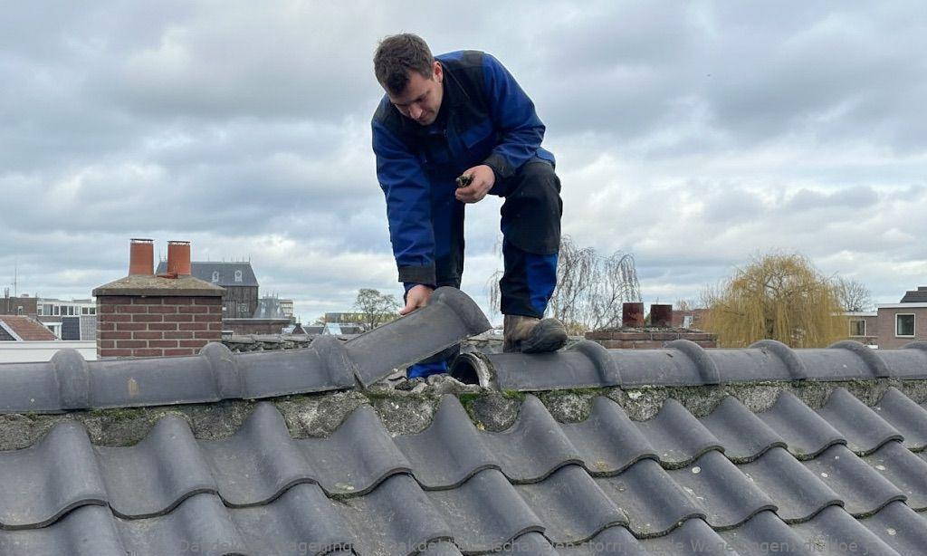 Dakdekker Inschakelen Stormschade Wageningen