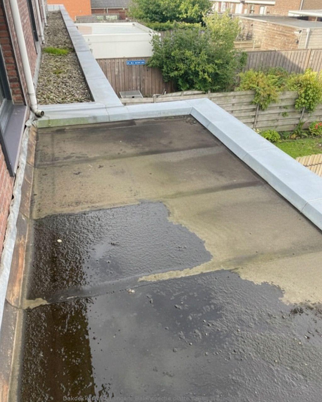 Dakinspectie Platte Daken Wageningen