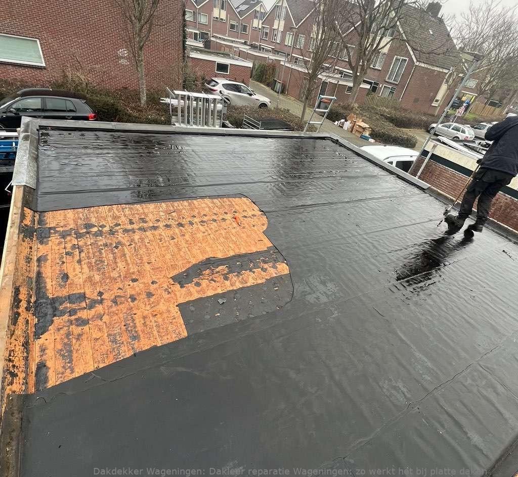 Dakleer Reparatie Wageningen