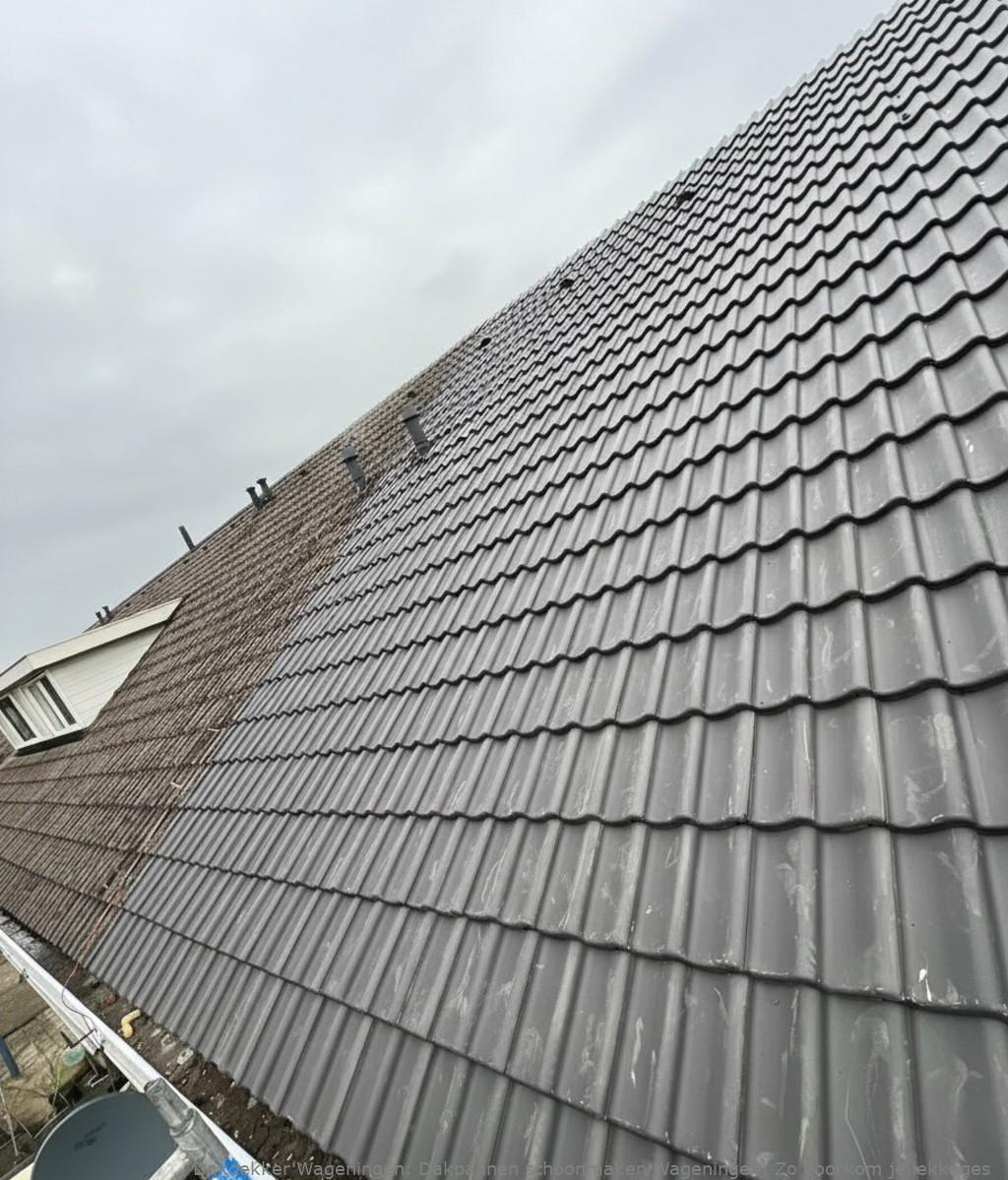 Dakpannen Schoonmaken Wageningen