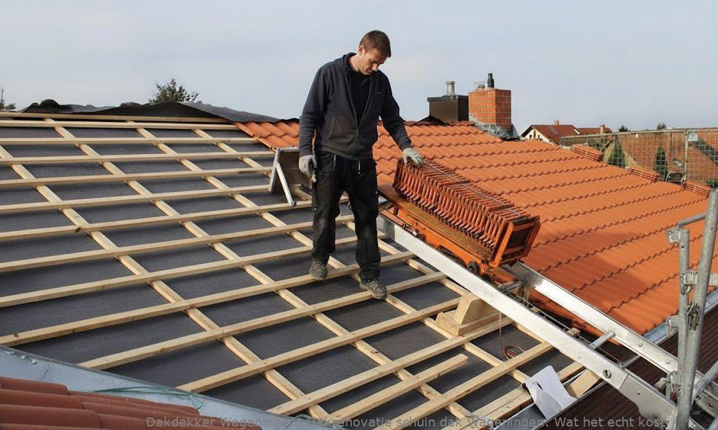 Dakrenovatie Schuin Dak Wageningen