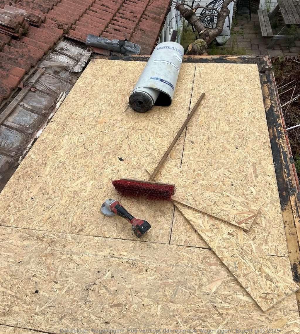 Hoe Verloopt Dakreparatie Wageningen