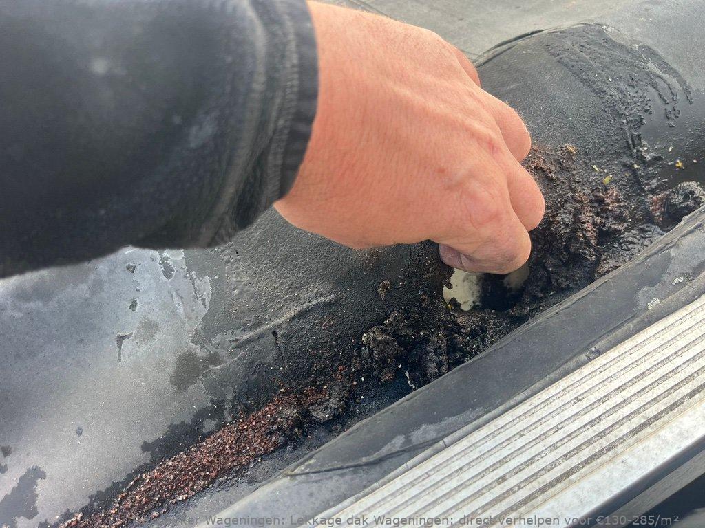 Lekkage Plat Dak Wageningen 1