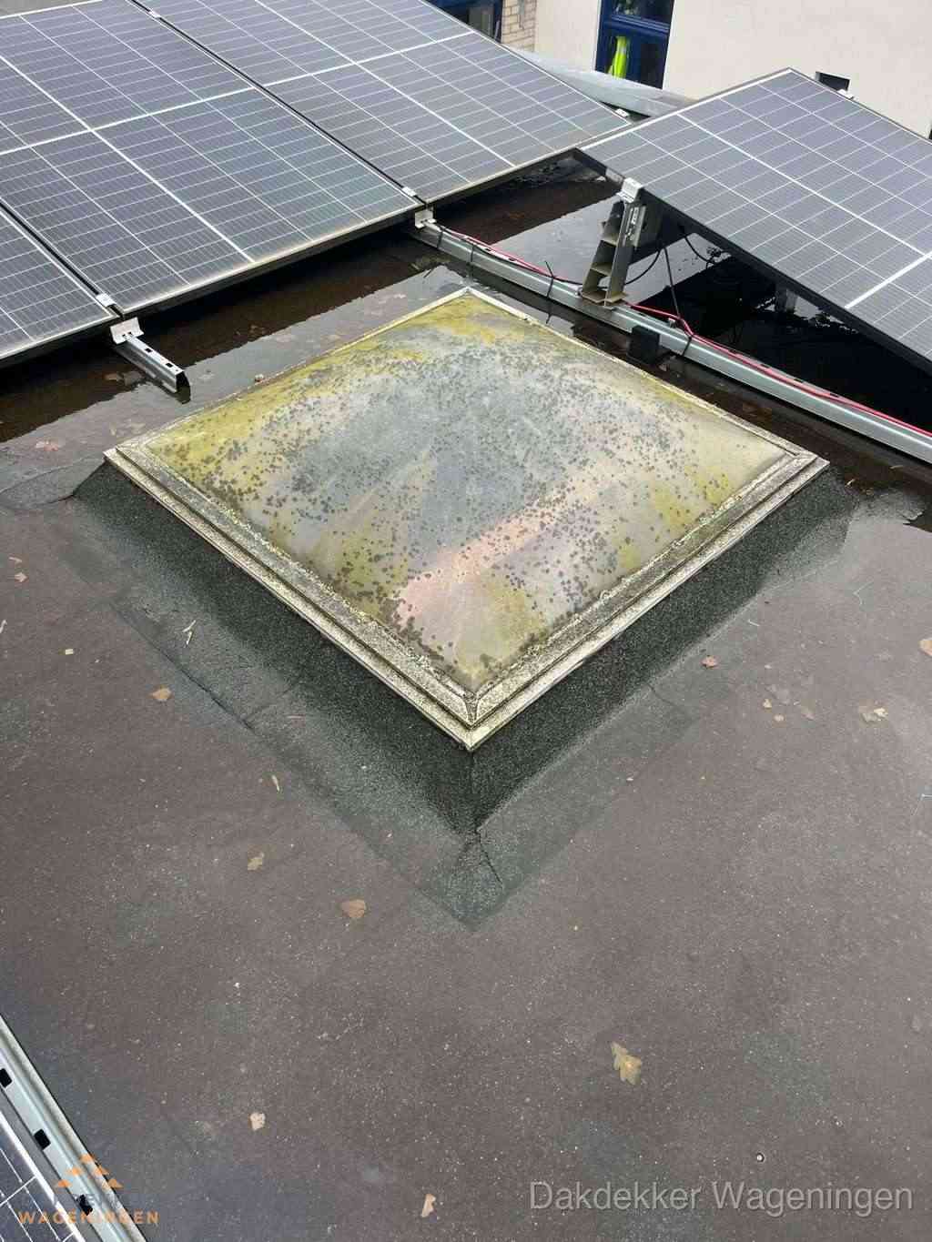 Opsporen Daklekkage Wageningen
