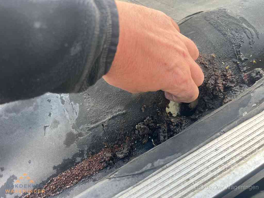 Plat Dak Reparatie Wageningen