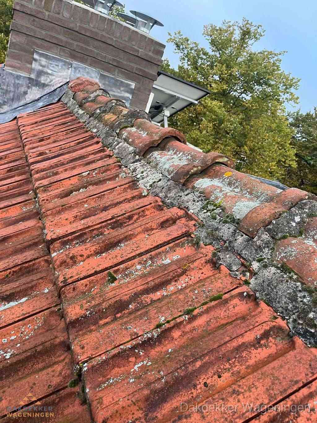 Renovatie Hellend Dak Wageningen