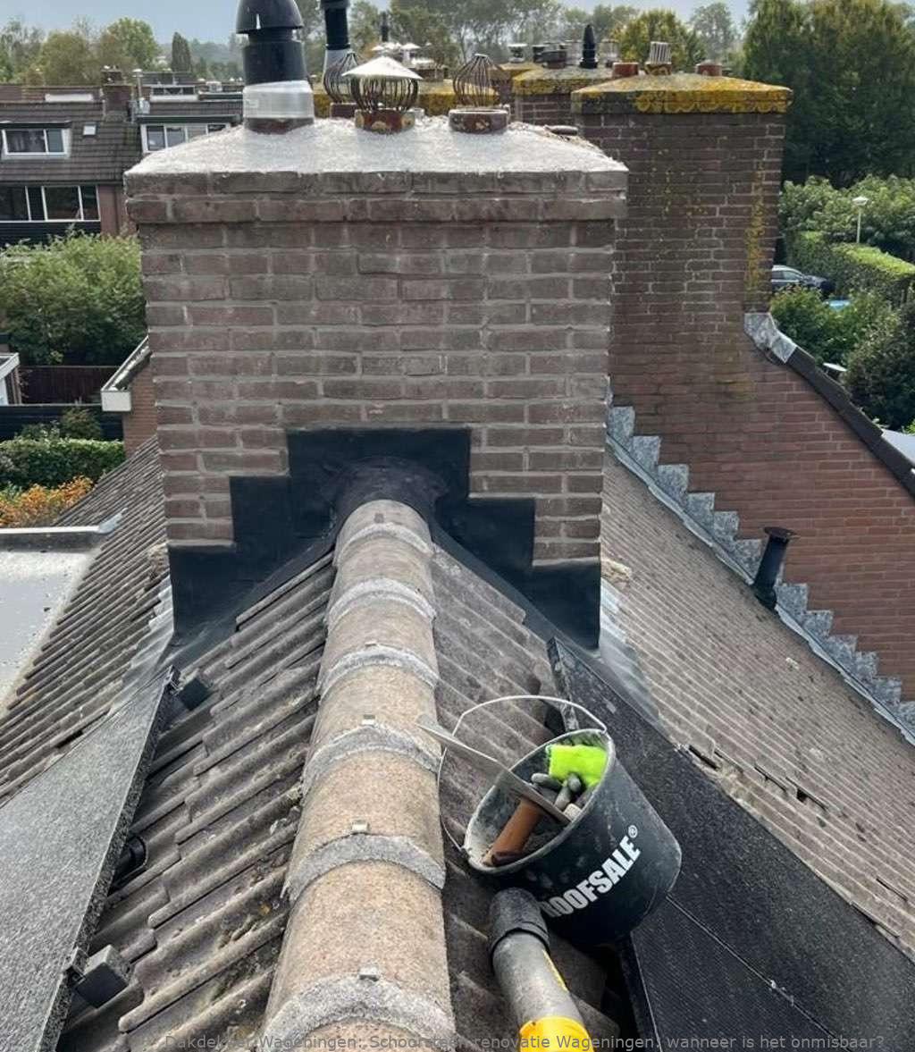 Schoorsteen Renovatie Wageningen 1