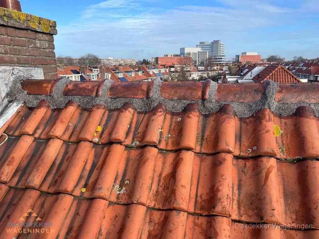 Wageningen Daken Renoveren